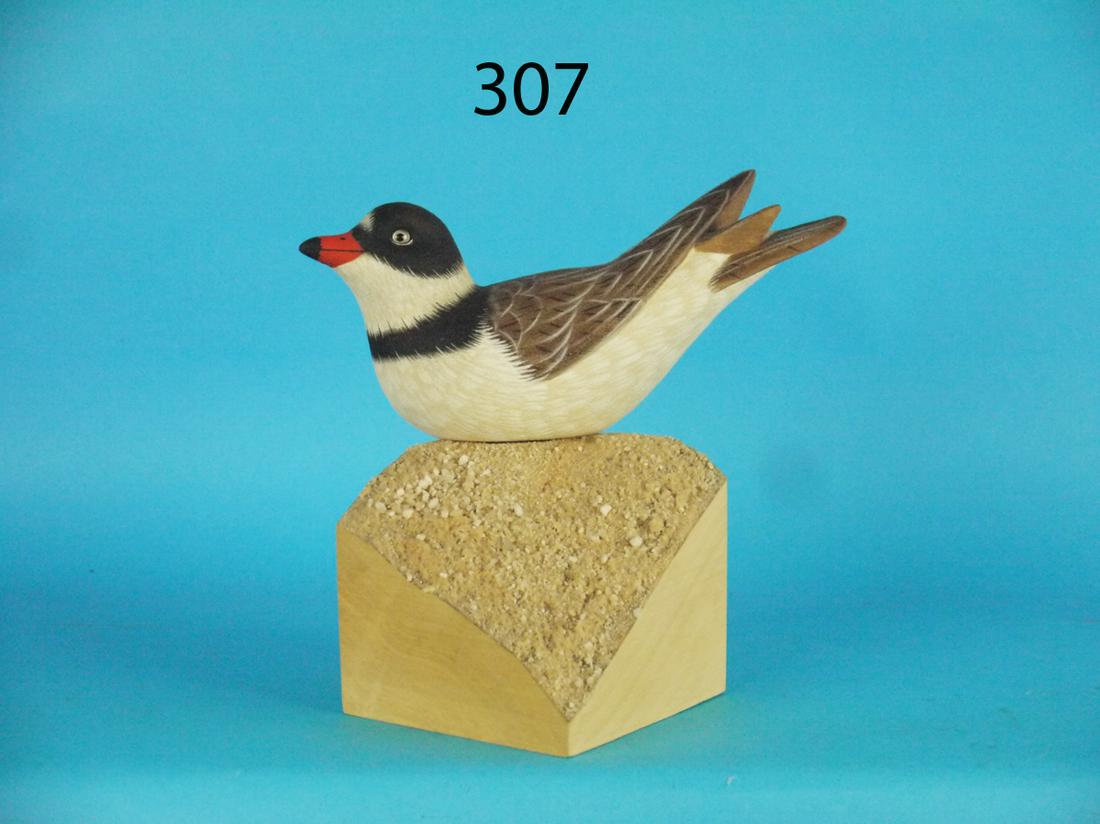 LEAST TERN, M. STRUCKO (1 of 1)