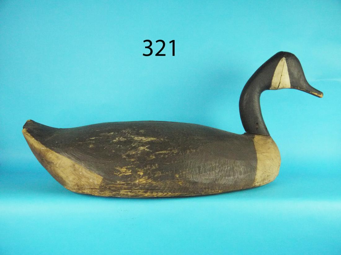 CANADA GOOSE, PLUM ISLAND, MA (1 of 1)