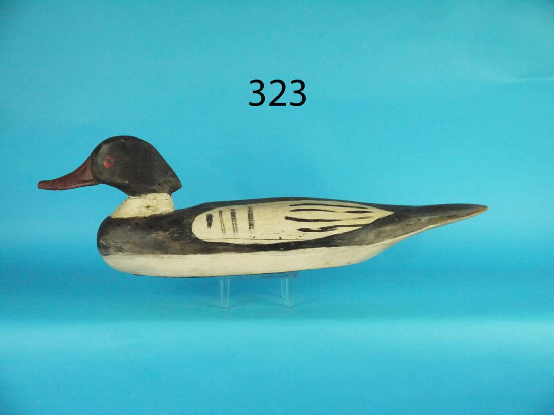 RED-BREAST MERGANSER DRAKE, C. JESTER (1 of 1)