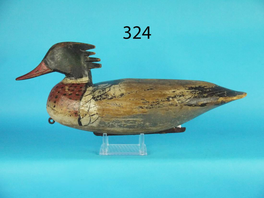 RED-BREAST MERGANSER DRAKE, D. JESTER (1 of 1)