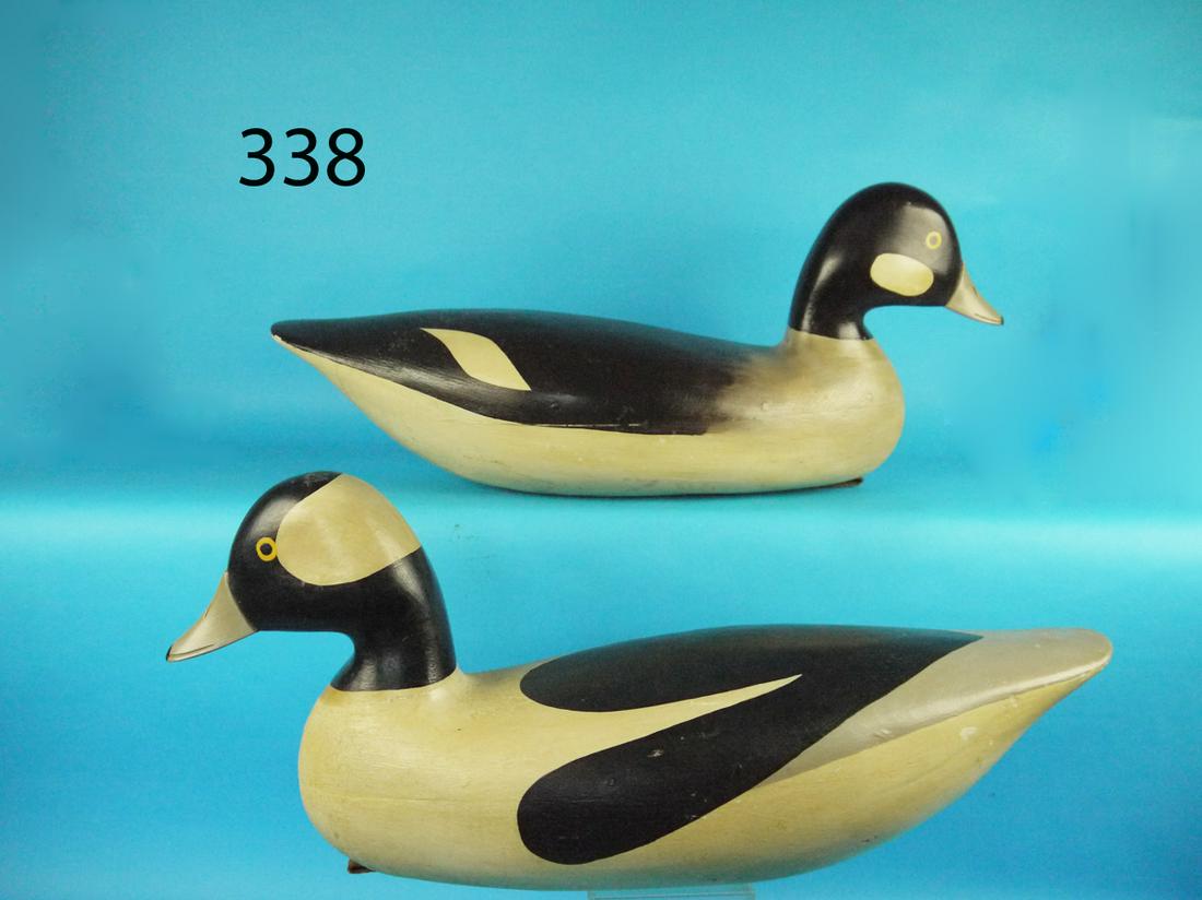 OVERSIZED BUFFLEHEAD PAIR (1 of 1)