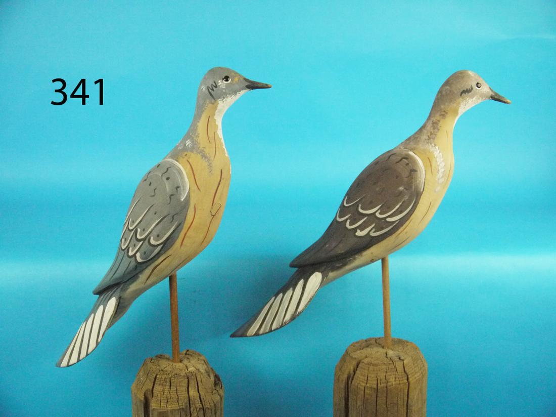 MOURNING DOVES, D. RHODES (1 of 1)