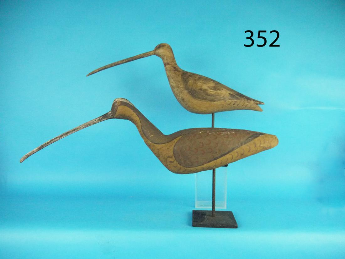TWO LONG BILLED CURLEWS, ANTIQUED (1 of 1)
