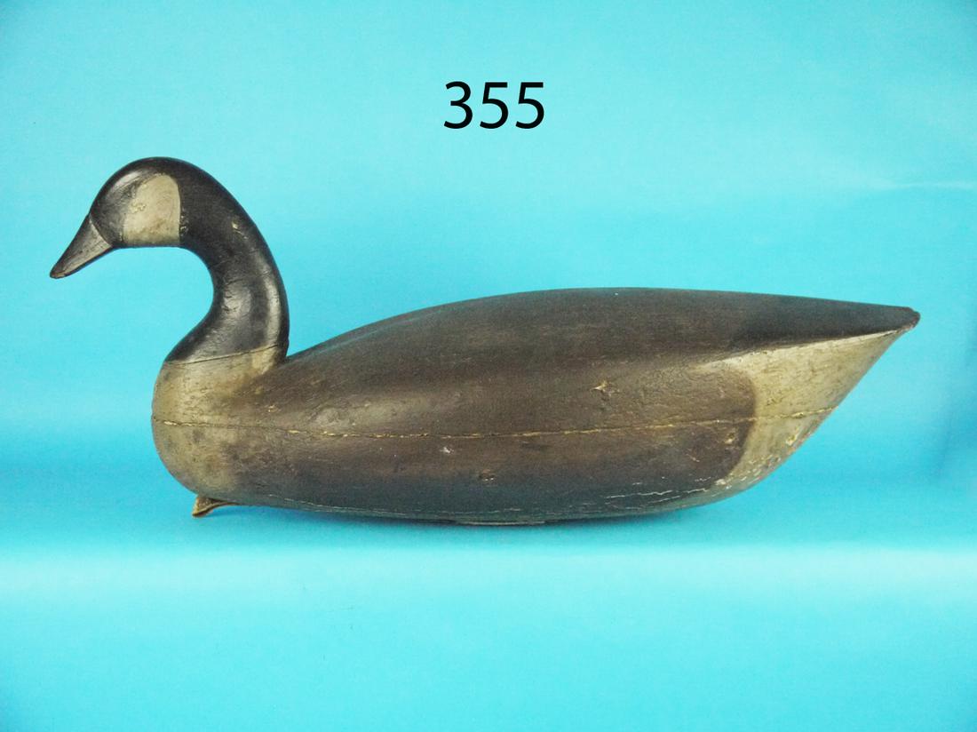 CANADA GOOSE, J. DORSETT (1 of 4)