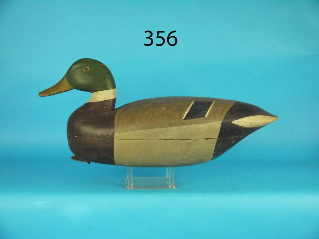 MALLARD DRAKE, J. KING (1 of 1)