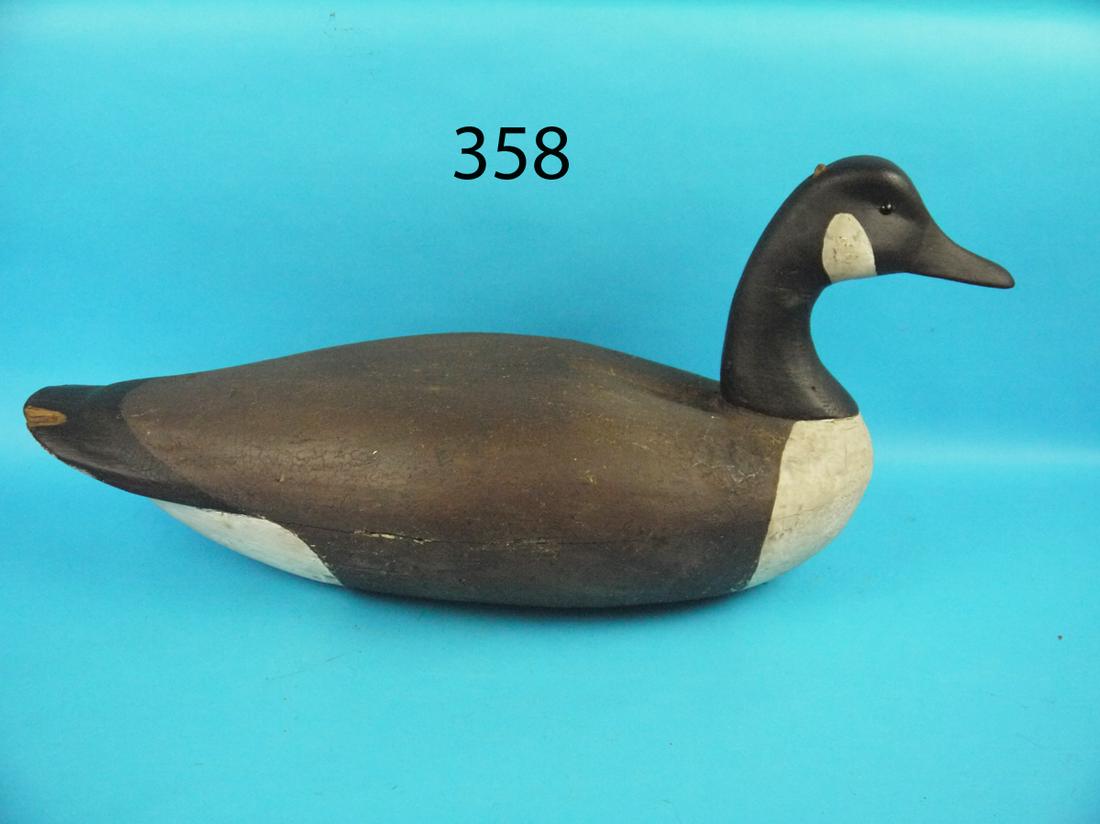 CANADA GOOSE, L. JOHNSON (1 of 1)