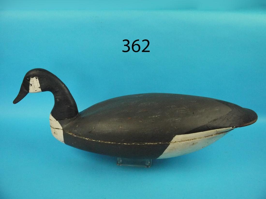 CANADA GOOSE, F. LAMSON (1 of 1)