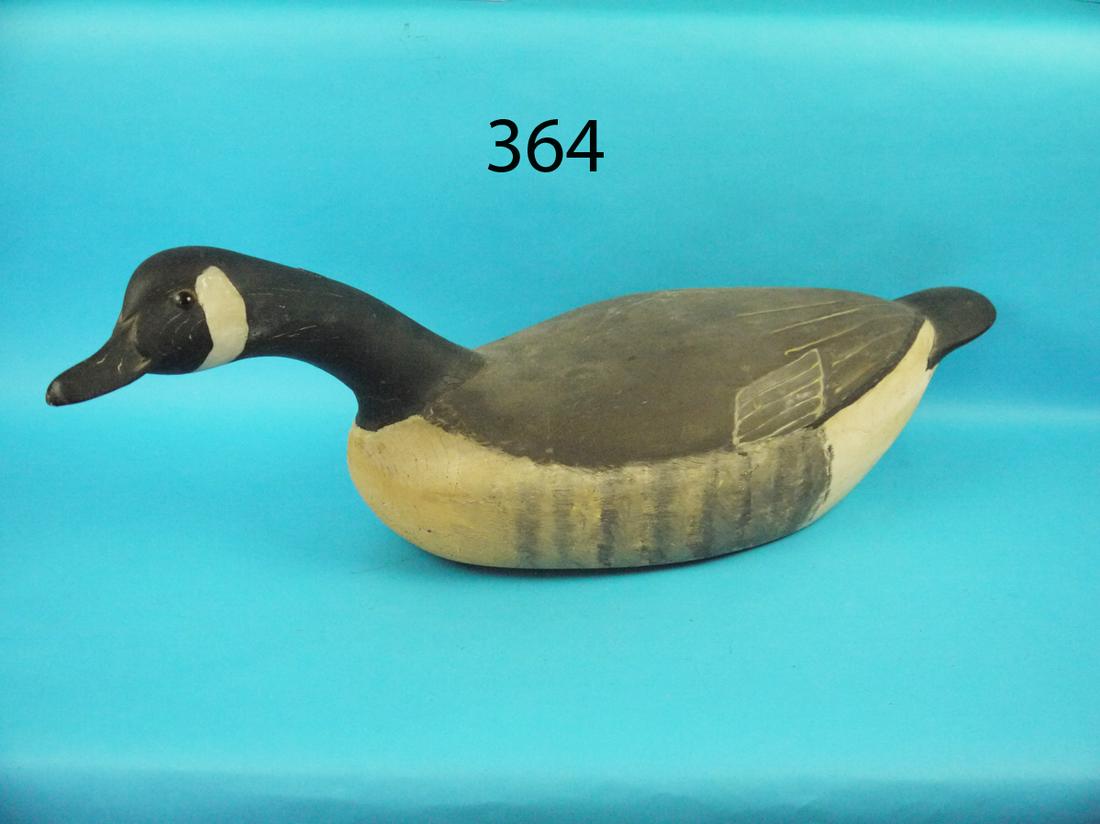 SWIMMING CANADA GOOSE (1 of 1)