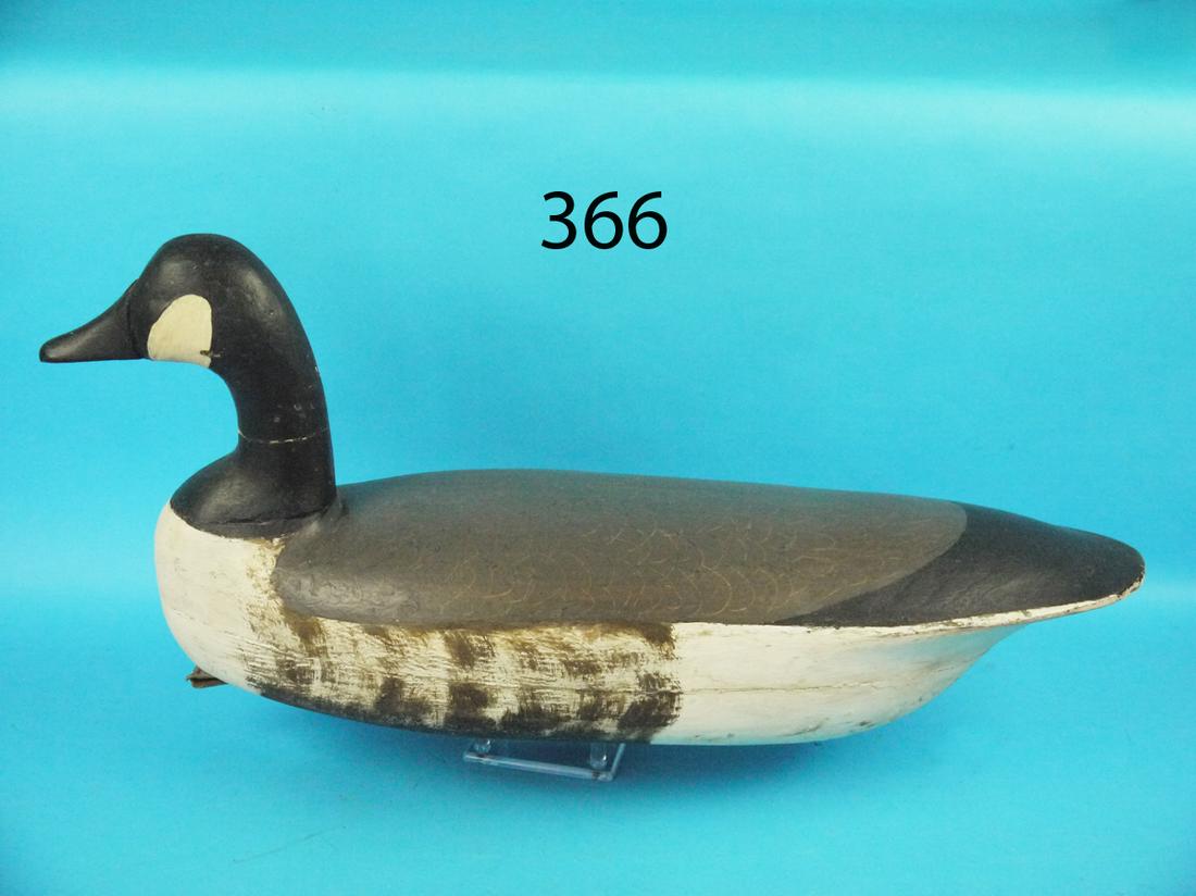 CANADA GOOSE, W. BROWN (1 of 1)