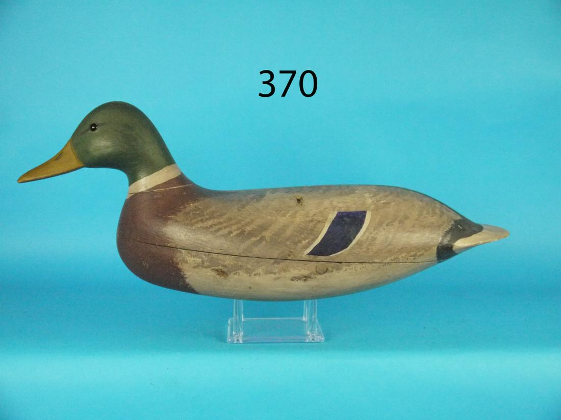 MALLARD DRAKE, J. UPDIKE (1 of 1)