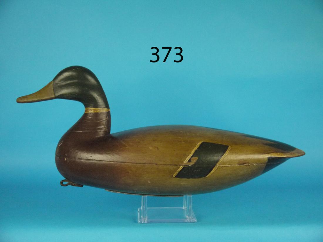 MALLARD DRAKE, T. JOHNSON (1 of 4)