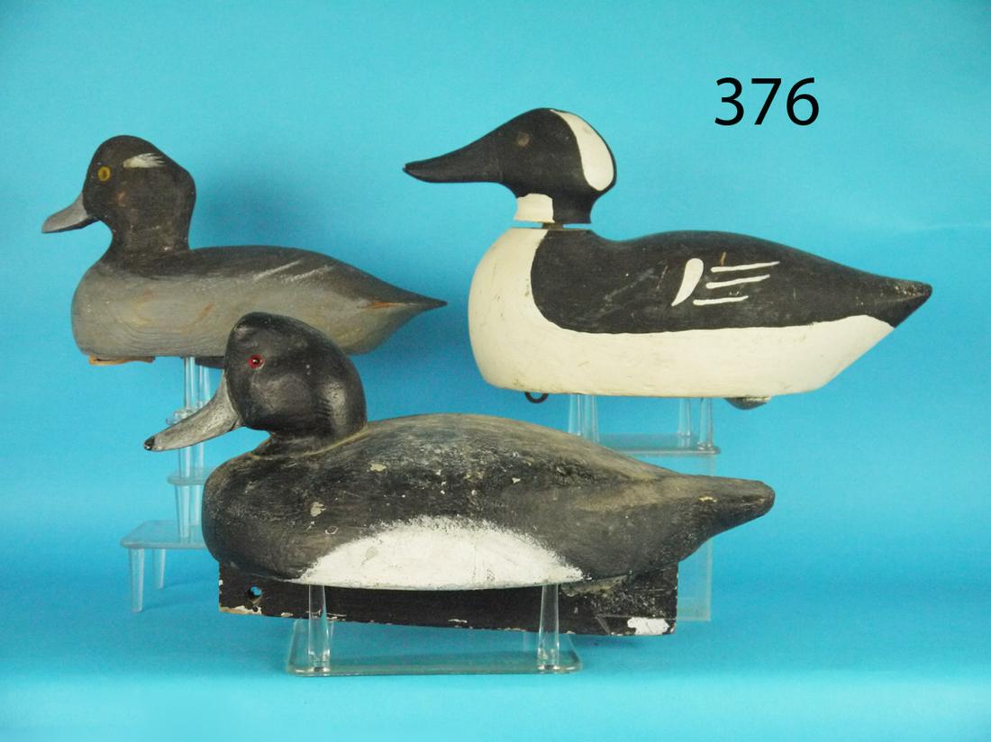 BLUEBILL/HOODED MERGANSER/BUFFLEHEAD (1 of 1)