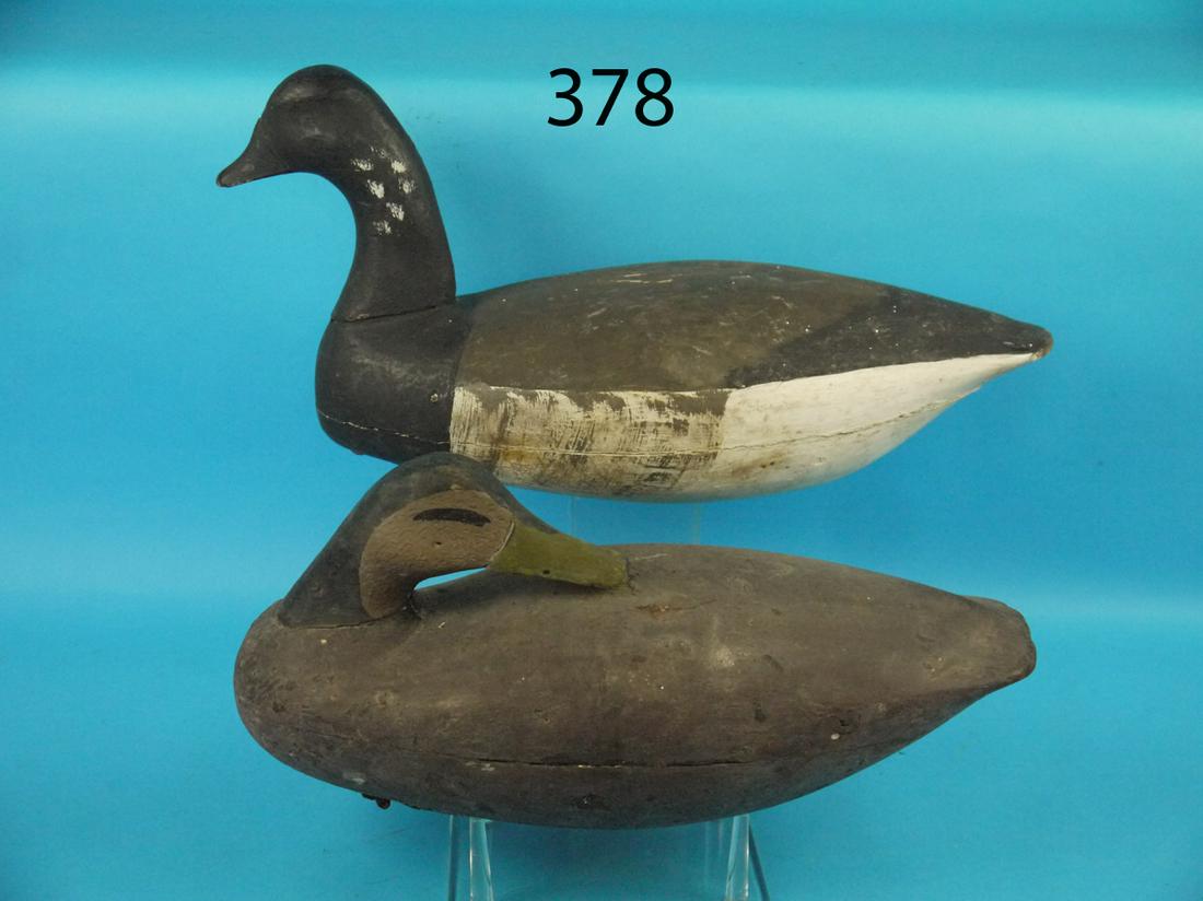 THREE BRANT, BLACK DUCK, BARNEGAT BAY (1 of 1)