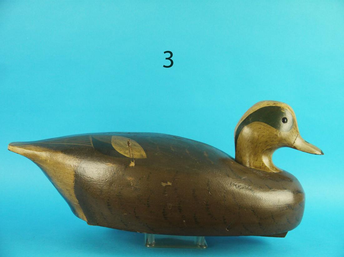 WIDGEON DRAKE, WILDFOWLER (1 of 4)