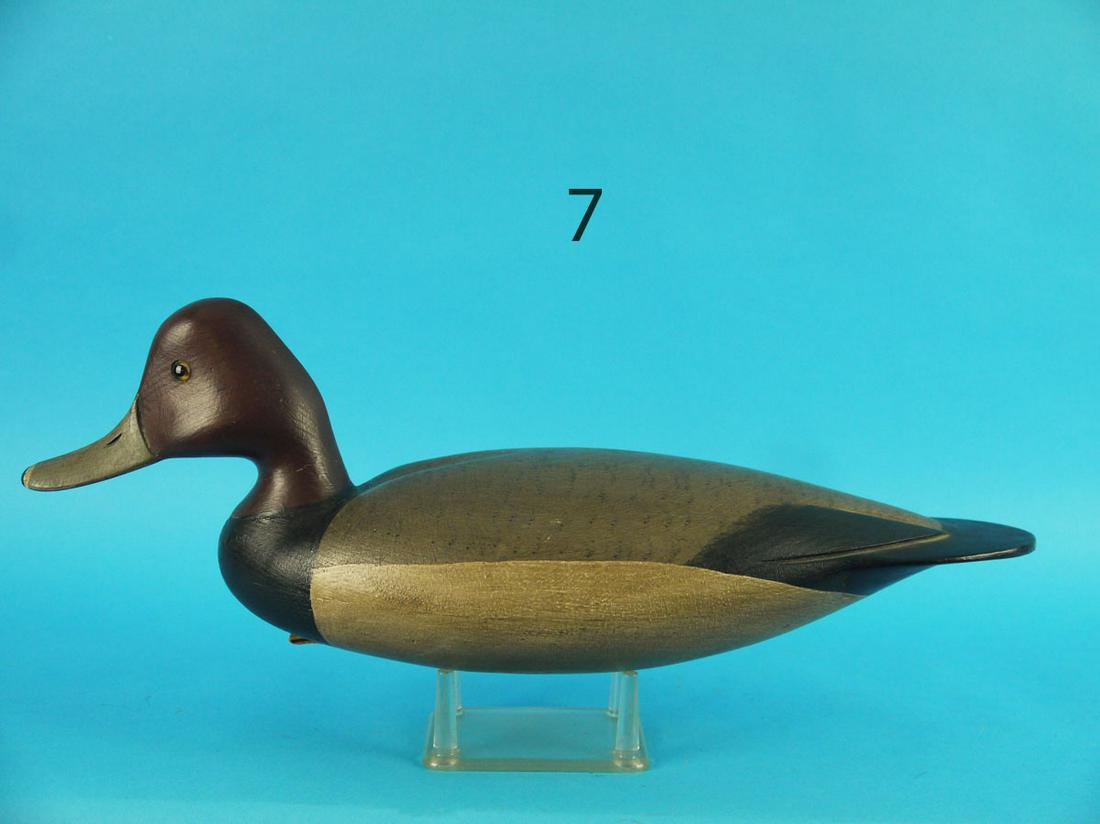 RED HEAD DRAKE, H. CONKLIN (1 of 4)