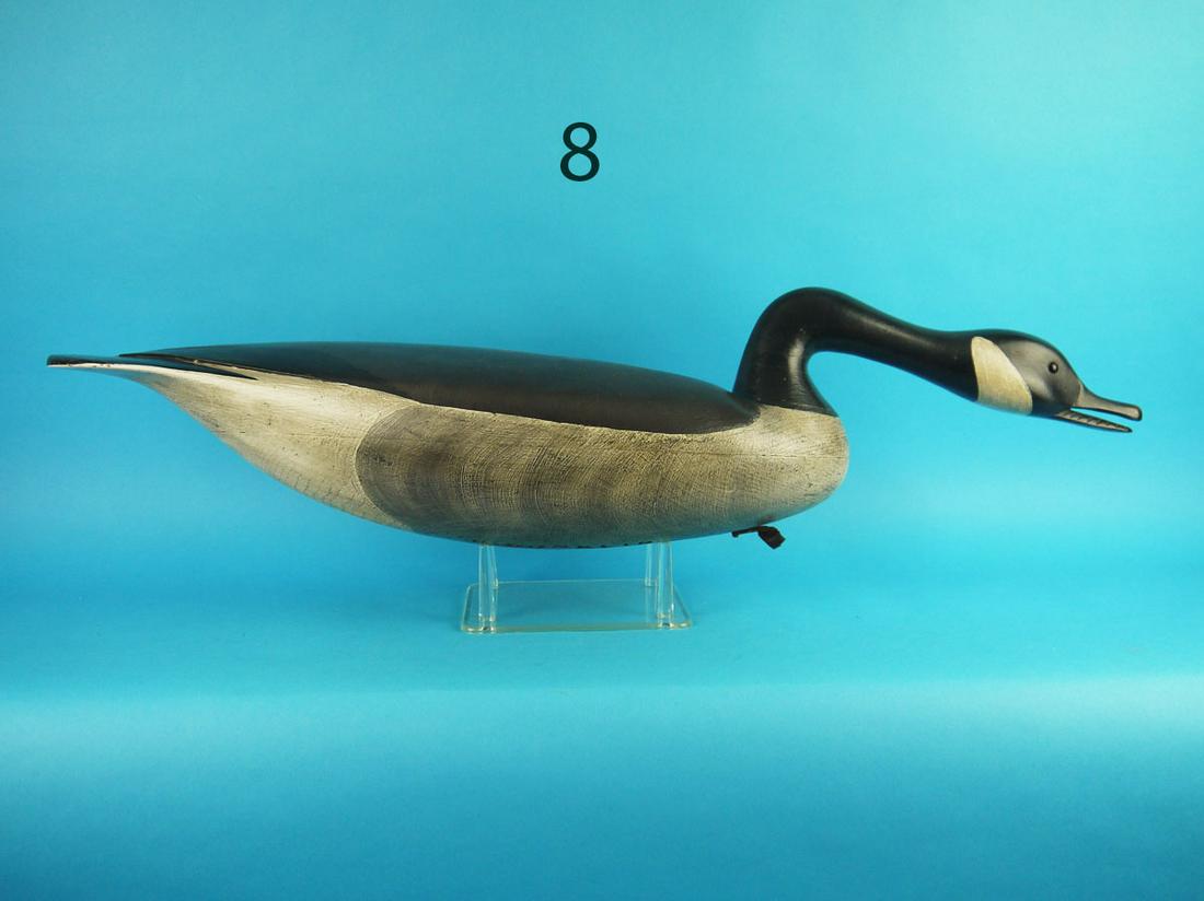 CANADA GOOSE, H. CONKLIN (1 of 5)