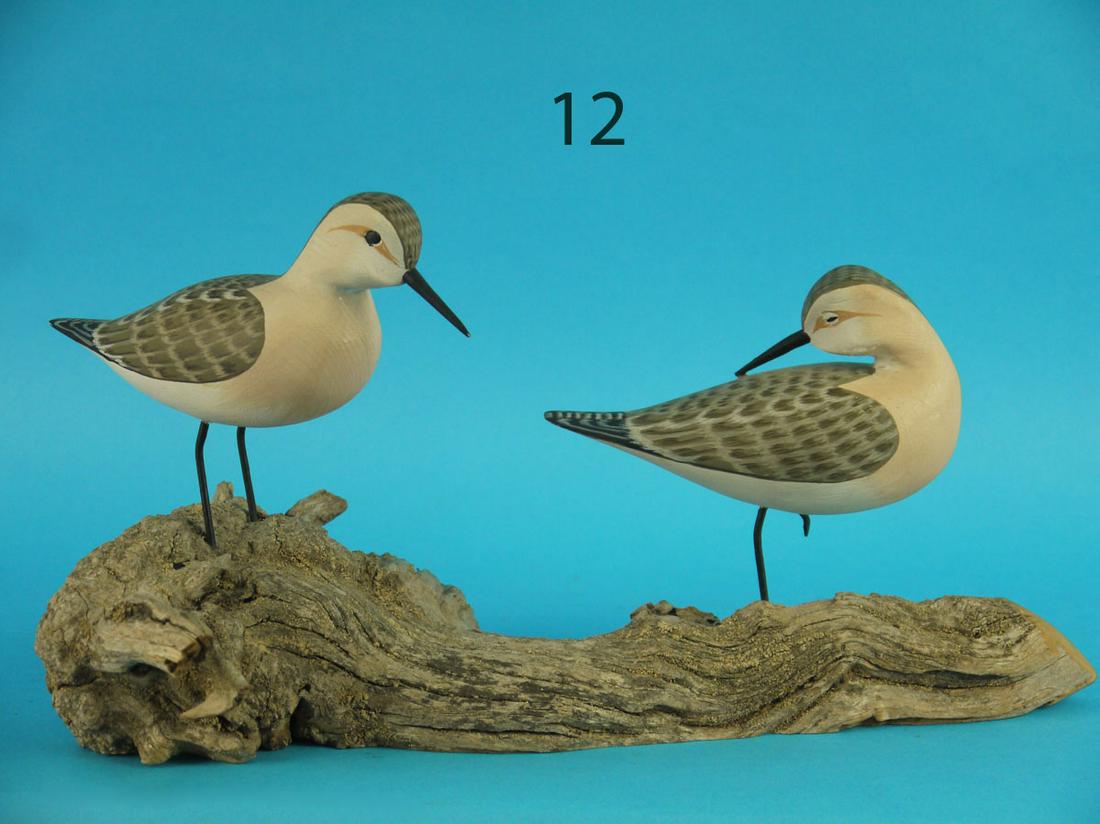 TWO EARLY PEEPS, H.V. SHOURDS (1 of 4)