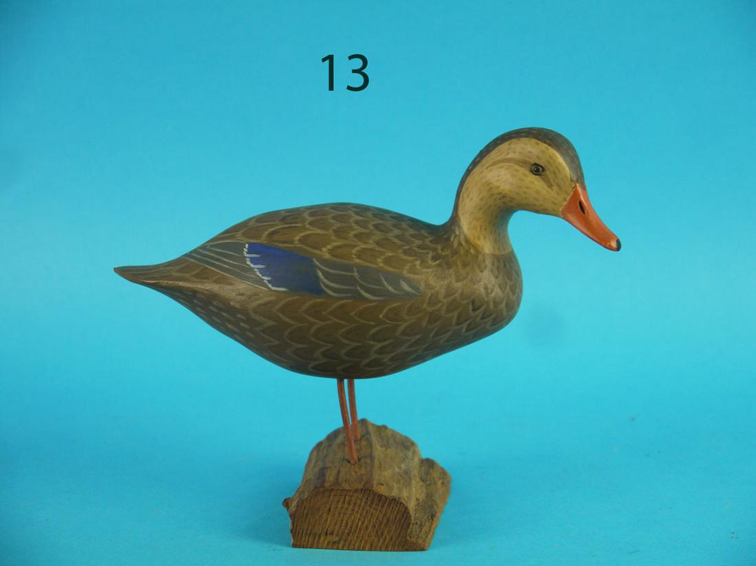 ONE-THIRD SIZE BLACK DUCK, H.V. SHOURDS (1 of 3)
