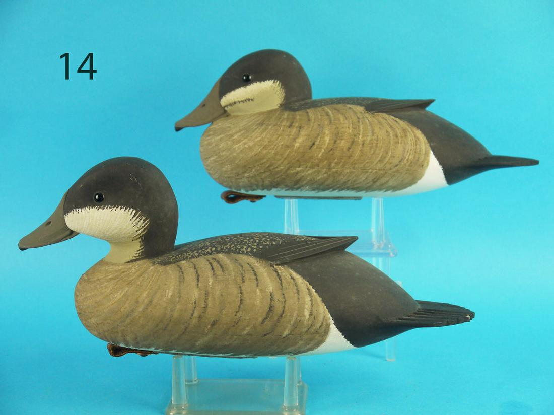 RUDDY DUCK PAIR, J. HOLLOWAY (1 of 3)