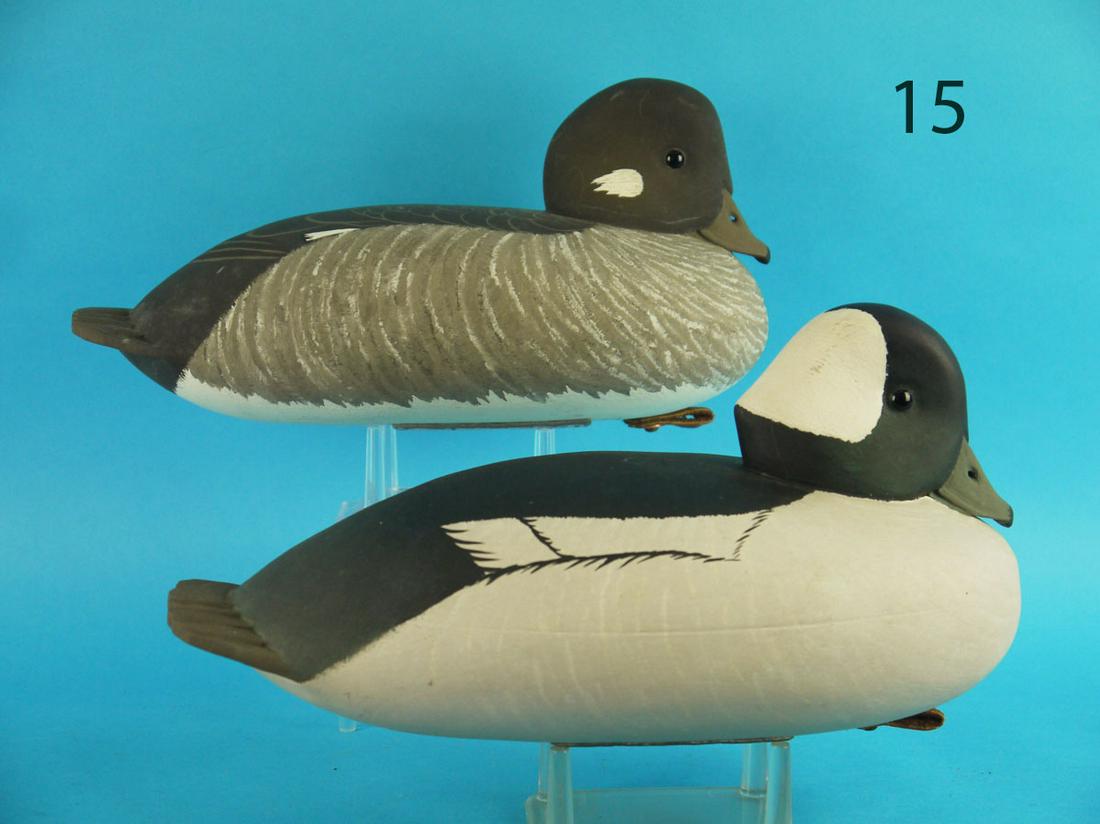 BUFFLEHEAD PAIR, J. HOLLOWAY (1 of 3)