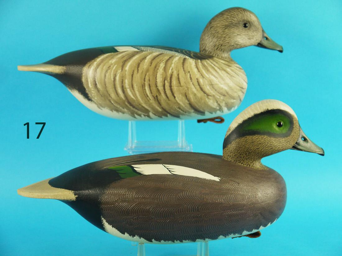 WIDGEON PAIR, J. HOLLOWAY (1 of 4)