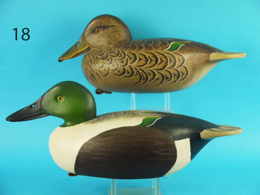 SHOVELLER PAIR, J. HOLLOWAY (1 of 3)