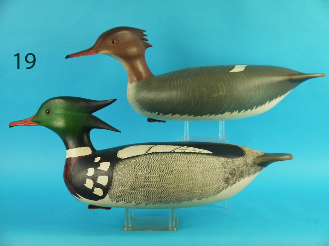 RED-BREAST MERGANSER PAIR, J. HOLLOWAY (1 of 4)