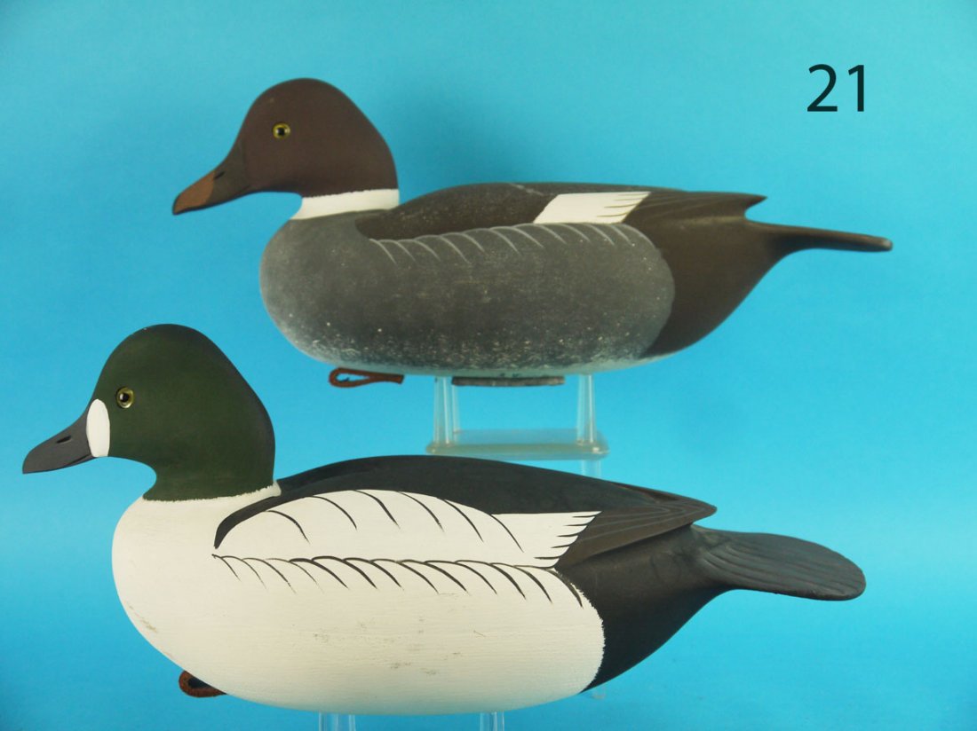 GOLDENEYE PAIR, W. OLER (1 of 4)