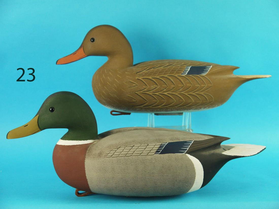 MALLARD PAIR, W. OLER (1 of 4)