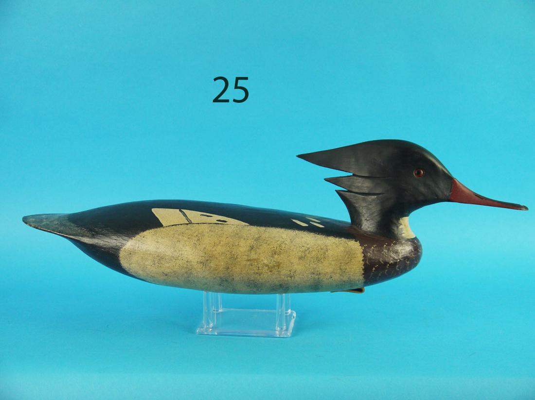 RED-BREAST MERGANSER DRAKE, J. HAMILTON (1 of 3)