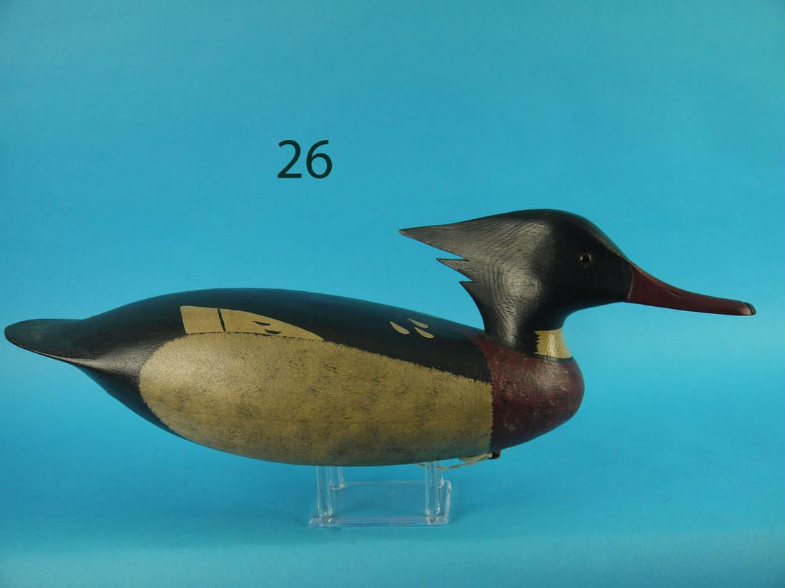 RED-BREAST MERGANSER DRAKE, J. HAMILTON (1 of 3)