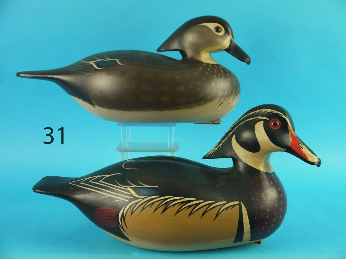 WOOD DUCK PAIR, G. COOKE (1 of 4)