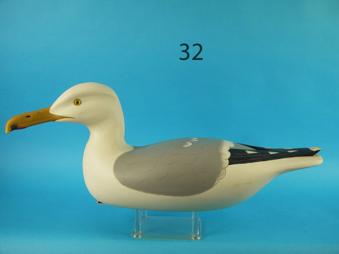 GRAY BACK GULL, G. COOKE (1 of 2)