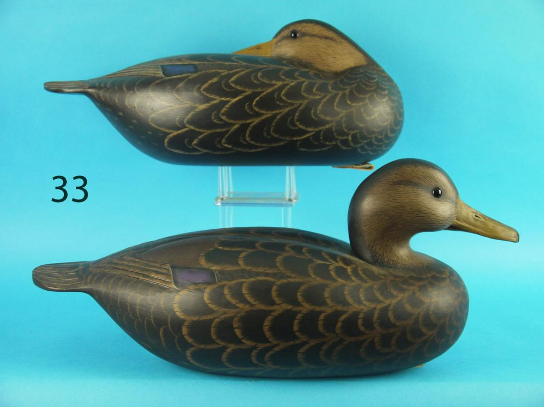 BLACK DUCK PAIR, G. COOKE (1 of 4)