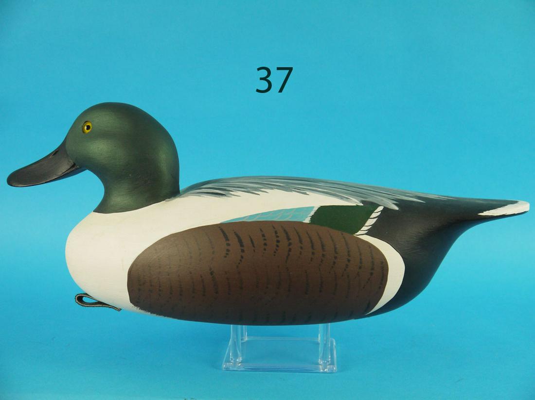 SHOVELLER DRAKE, F. REITMEYER: FINE SHOVELLER DRAKE by Fred Reitmeyer, Pomona, NJ. Excellent original paint and condition. Fine painted feather work to back and sides. Head turned slightly right with broad bill carving. Retains gla