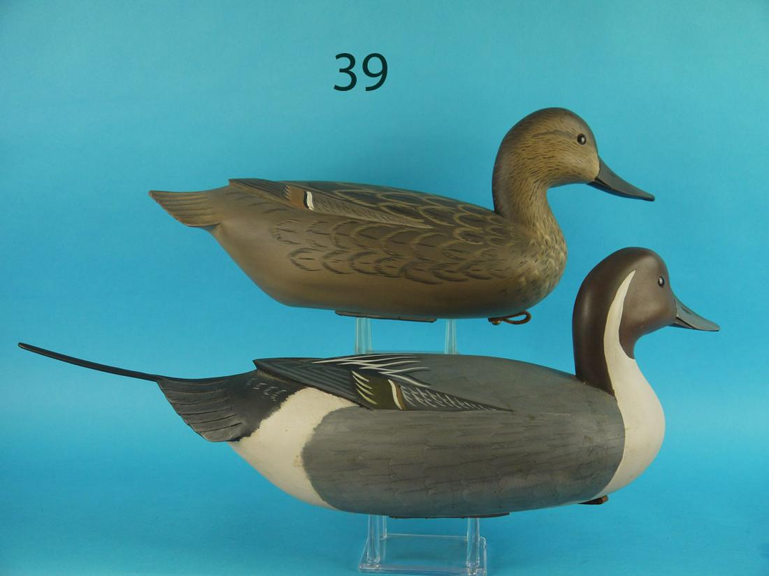 PINTAIL PAIR, K. WHARTON (1 of 3)