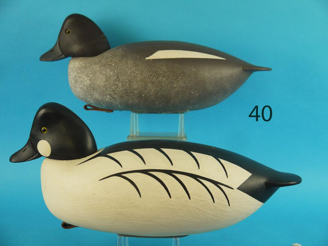 OVERSIZED GOLDENEYE PAIR, E. CLARK (1 of 3)