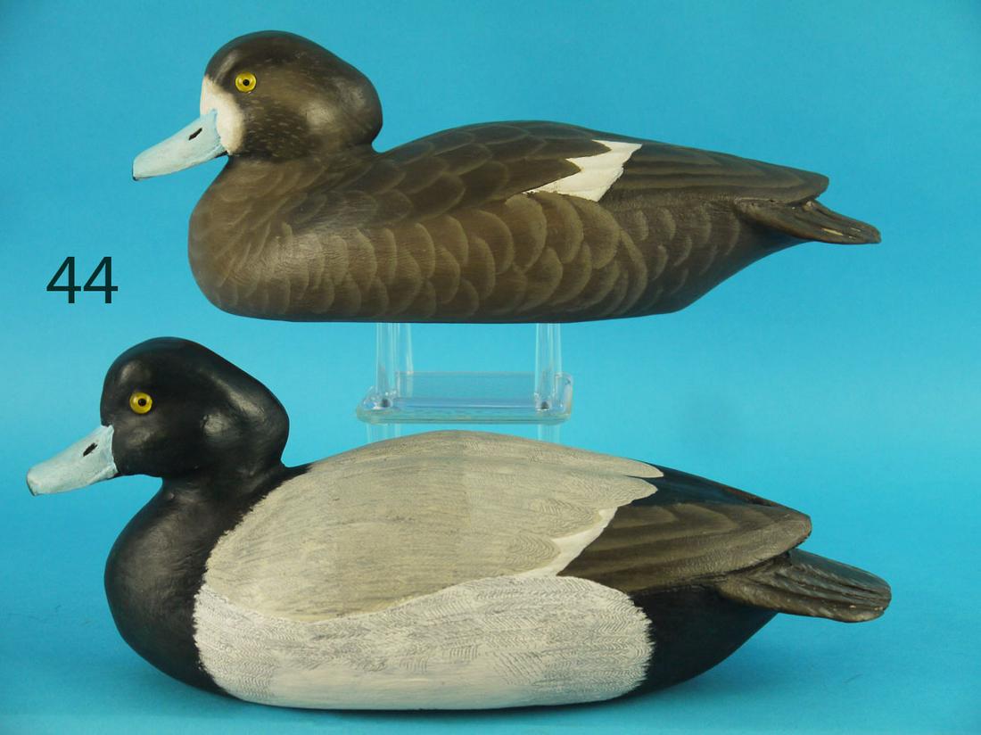 BLUEBILL PAIR, R. SABATINI (1 of 3)