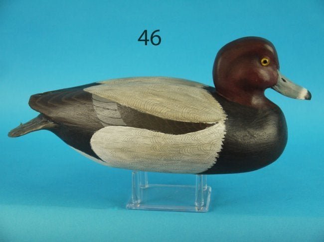 RED HEAD DRAKE, R. SABATINI (1 of 2)