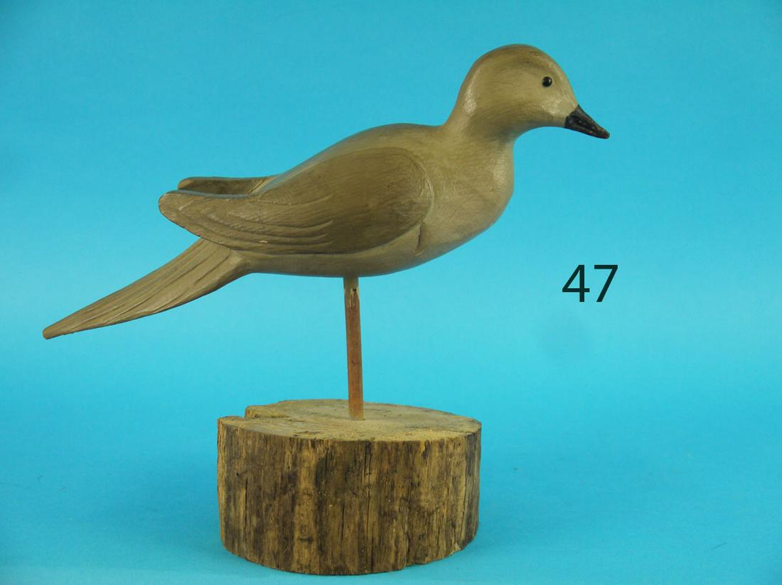 DOVE, R. SABATINI (1 of 3)