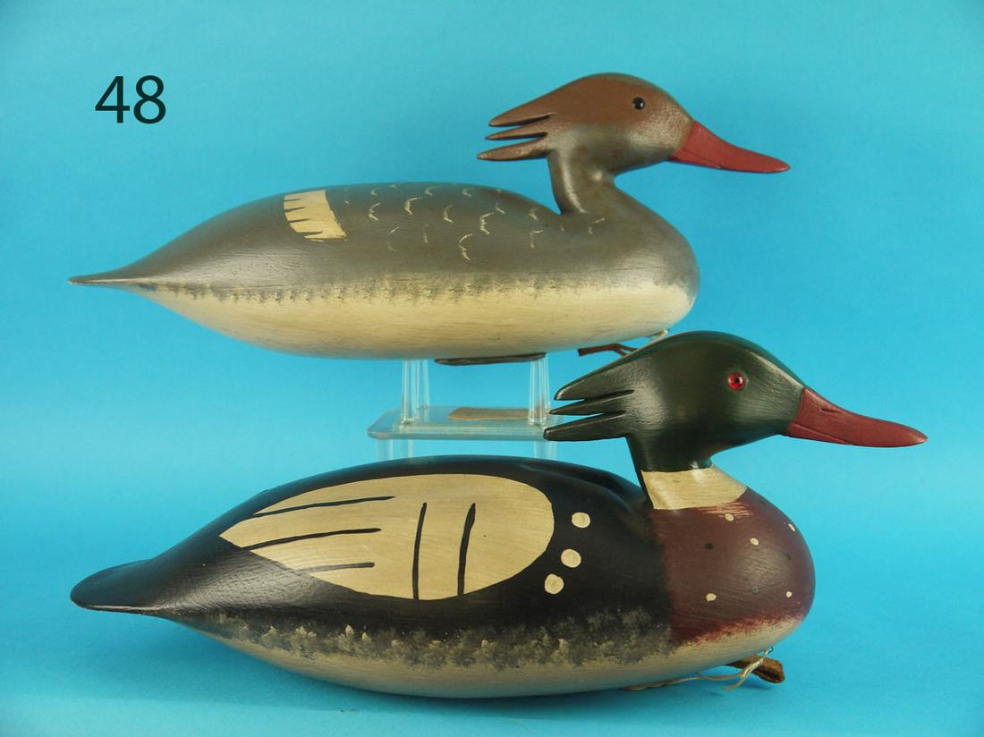 RED-BREAST MERGANSER PAIR, D. HALL (1 of 3)