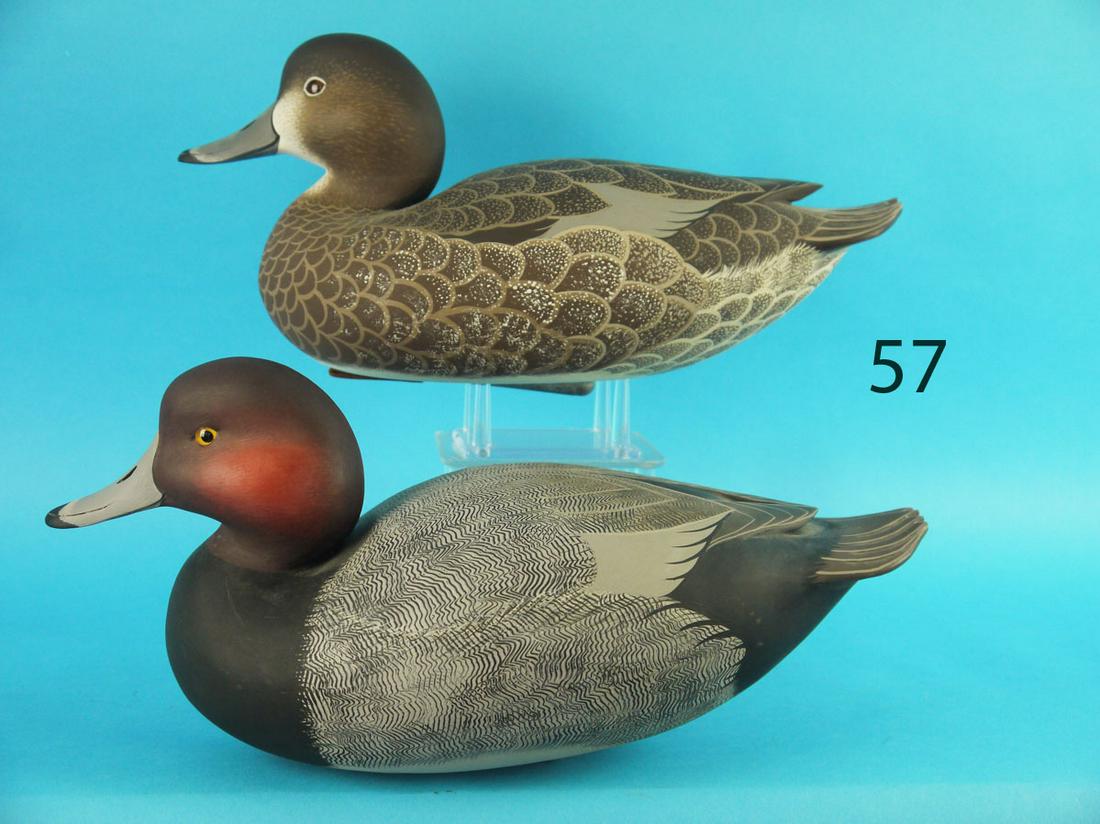 REDHEAD PAIR, J. WOOD (1 of 3)