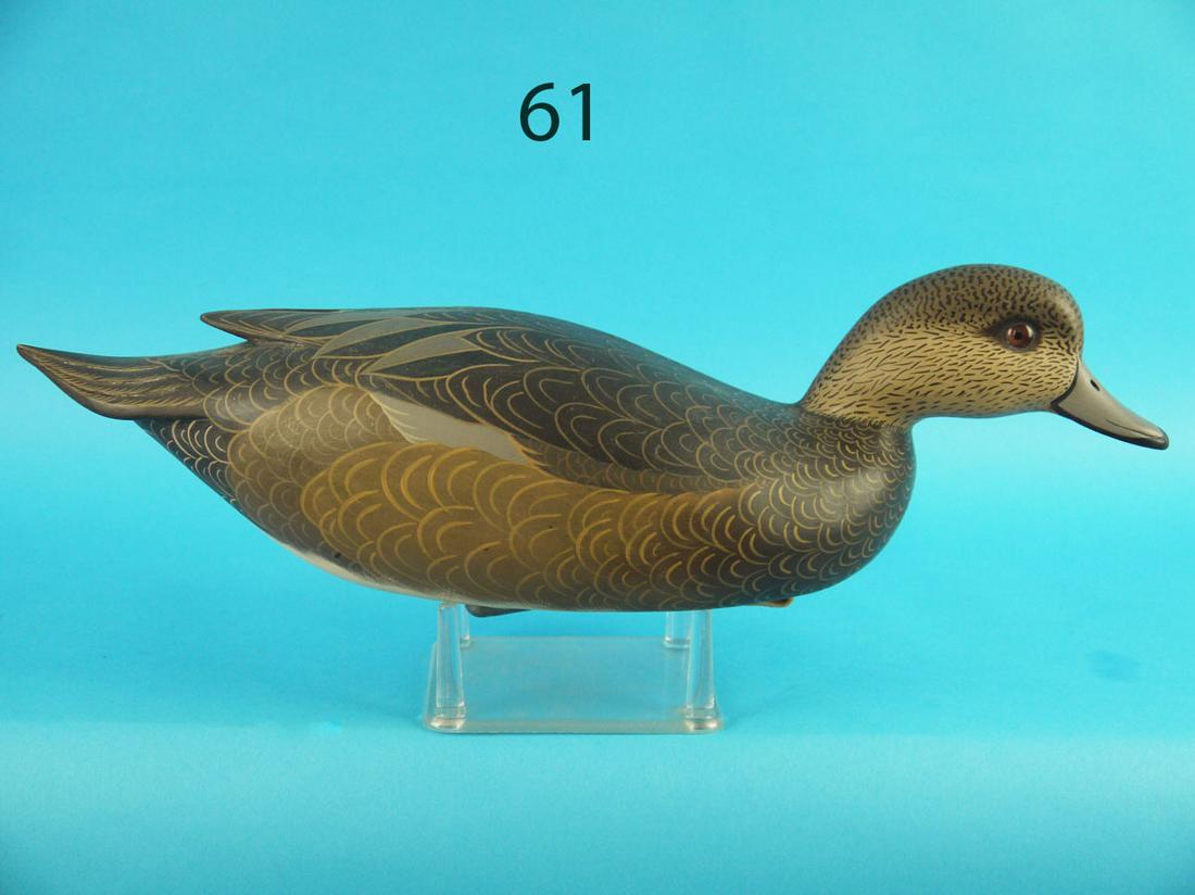 WIDGEON HEN, J. WOOD (1 of 3)