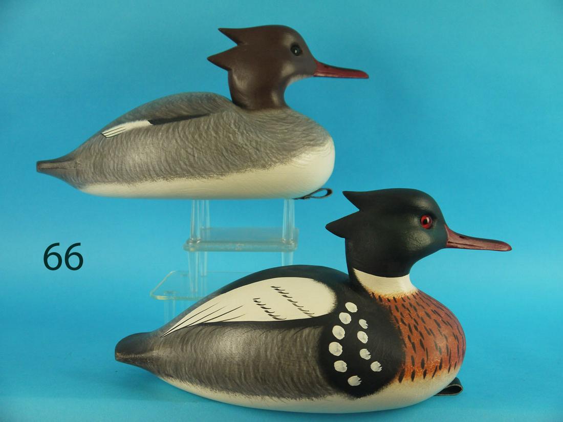 RED-BREAST MERGANSER PAIR, F.C. BROWN, JR. (1 of 3)