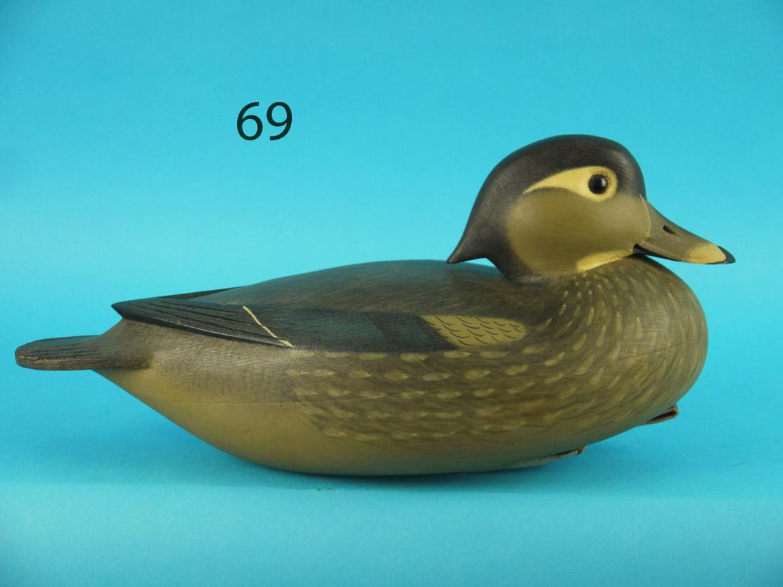 WOOD DUCK HEN, F.C. BROWN, JR. (1 of 3)