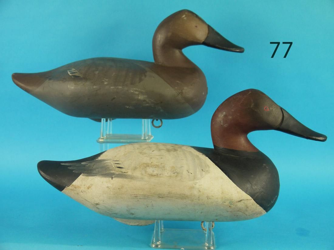 CANVASBACK PAIR, R.M. MITCHELL (1 of 3)