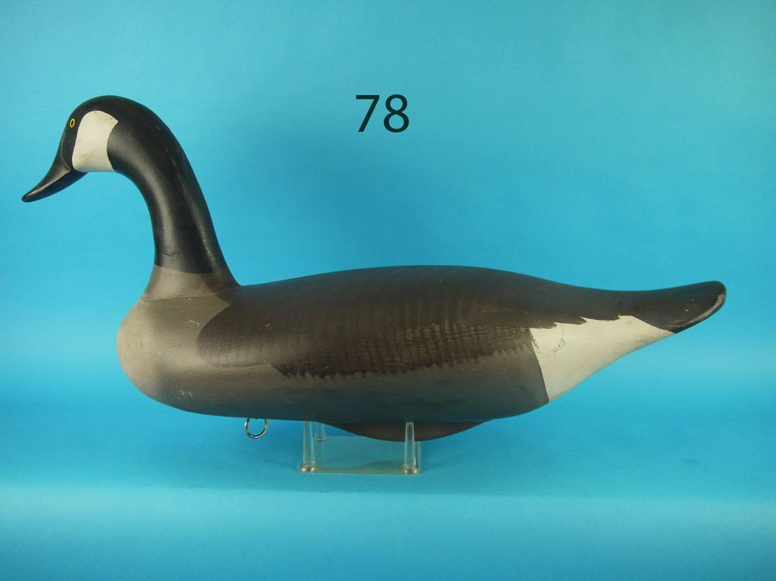 CANADA GOOSE, R.M. MITCHELL (1 of 4)