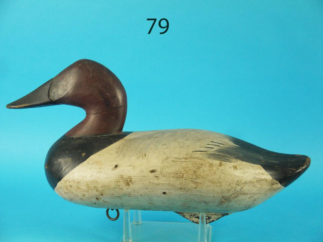 CANVASBACK DRAKE, R.M. MITCHELL (1 of 3)