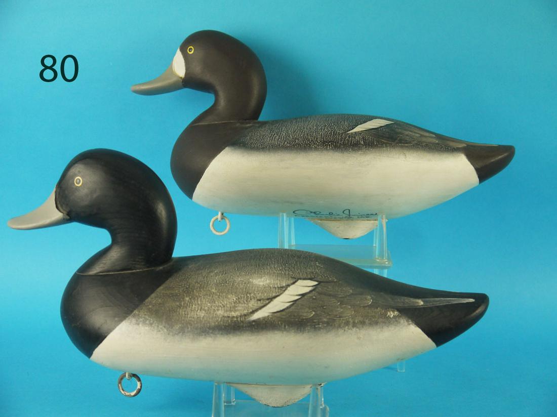 BLUEBILL PAIR, C. JOINER (1 of 3)