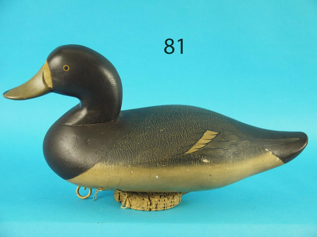 BLUEBILL HEN, C. JOINER (1 of 3)